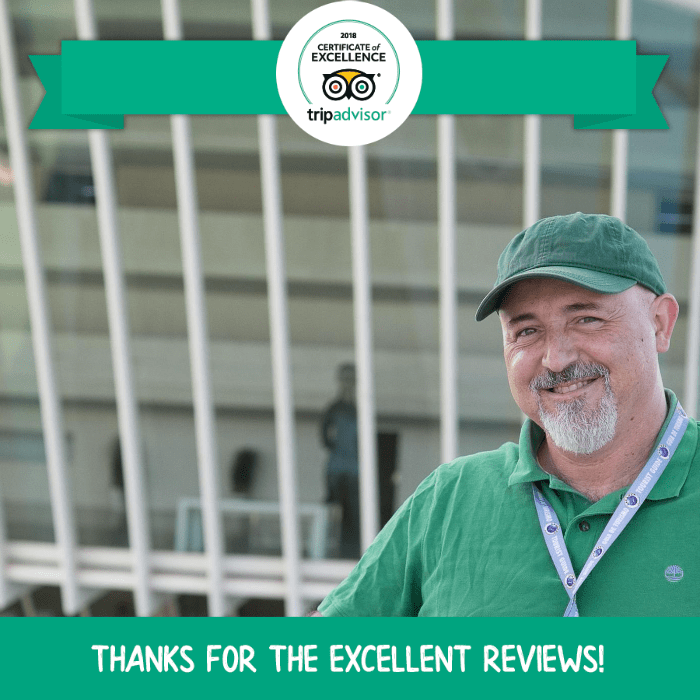 guida italiana valencia certificato eccellenza Tripadvisor